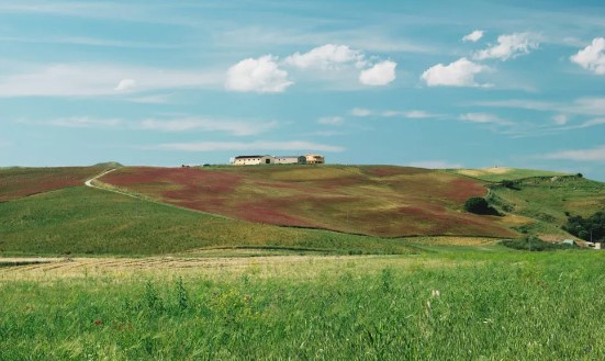 Terre di Entella: Il biologico siciliano al suo apice