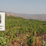 Passopiaro Contrada SciaranuovaJPG