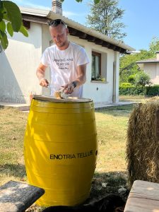 Fabio Entoria Tellus