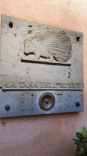 la tana dell'istrice