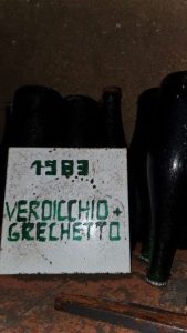 Mottura e il Grechetto e verdicchio