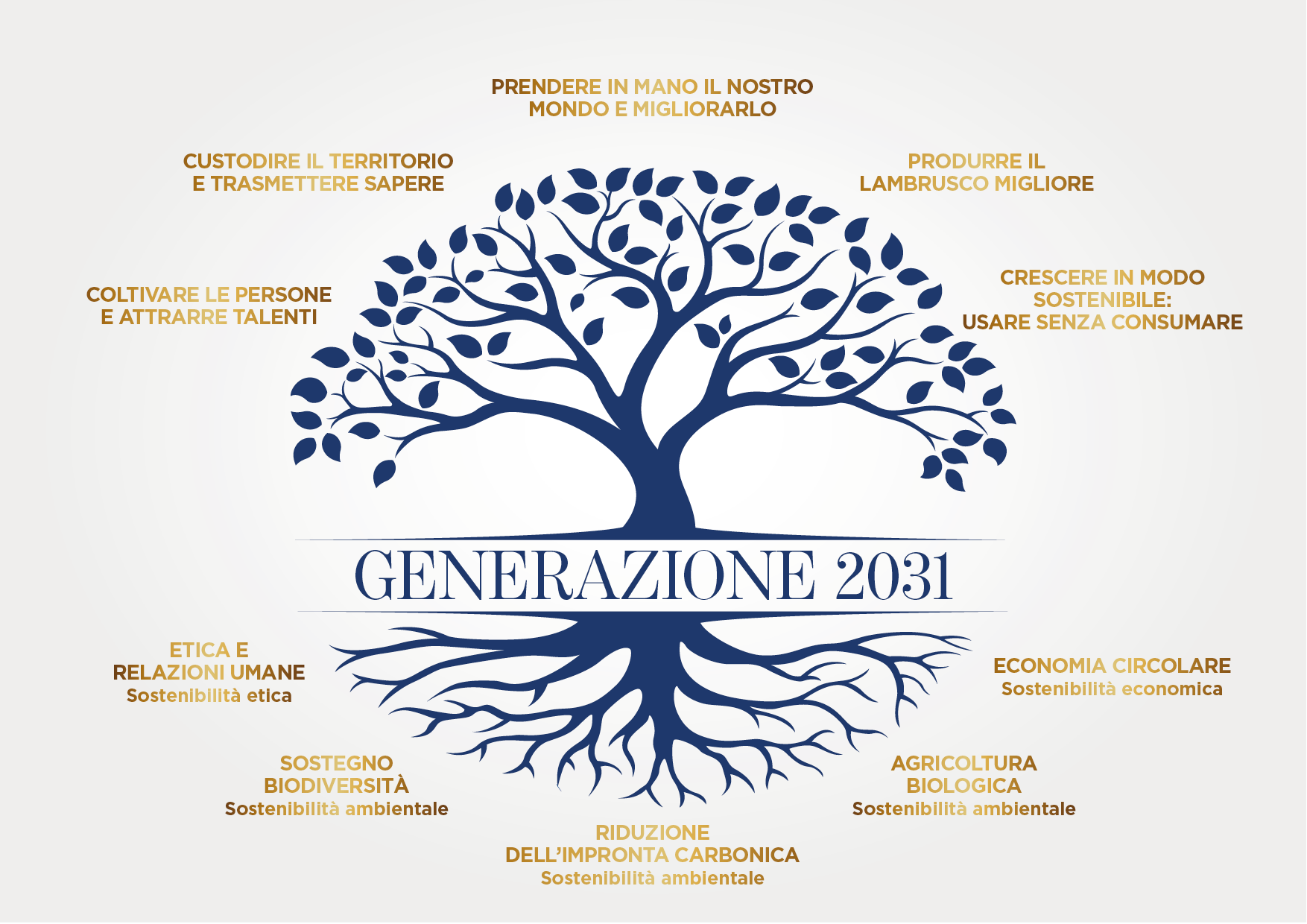 generazione 31