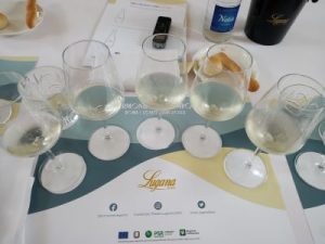 degustazione