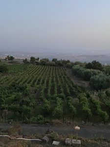 PODERE DELL'ETNA