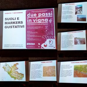 terreni diversi