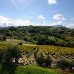 Fonzone   Cima del colle