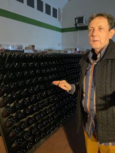 Antonio vigne del patrimonio