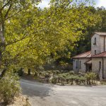 Nittardi  la cantina 1