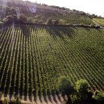 Quota 101 Tenuta Baone 2