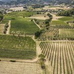 Quota 101 Tenuta Torreglia 2