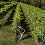 Silvia Gardina vigneto Torreglia