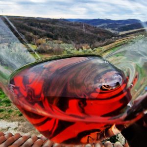 calice vino rosso carso