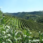 Screenshot 20230320 094207 Instagram