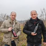 Screenshot 20230320 094255 Instagram