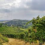 Screenshot 20230320 094307 Instagram