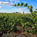 Screenshot 20230320 124558 Instagram