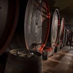 https   wwwrobertosarottocom wp content uploads Roberto Sarotto gallery HD 01