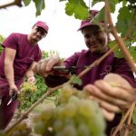 https   wwwrobertosarottocom wp content uploads Roberto Sarotto gallery HD 08