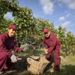 https   wwwrobertosarottocom wp content uploads Roberto Sarotto gallery HD 10