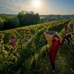 https   wwwrobertosarottocom wp content uploads Roberto Sarotto gallery HD 12