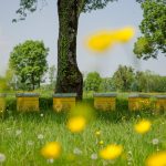 http   wwwchateaudauzaccom wp content uploads 2019 12 galerie photo 1