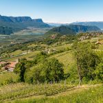 Bassa Atesina e il Monte di Mezzo